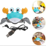 Cute Crab Toy